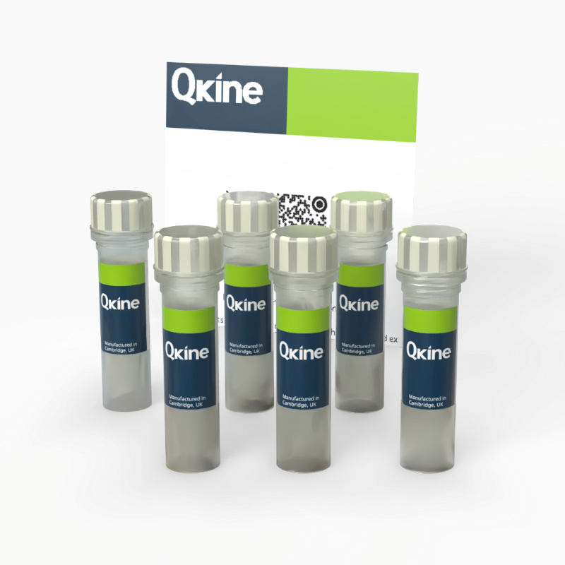 Qkine类器官专用因子