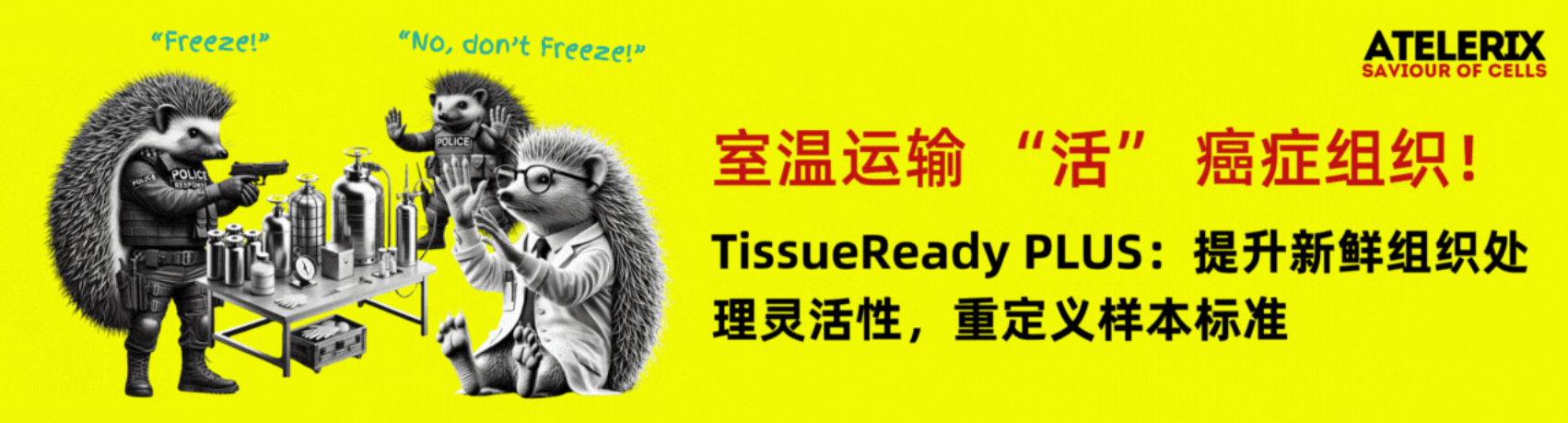 Atelerix TissueReady PLUS常温保存运输试剂
