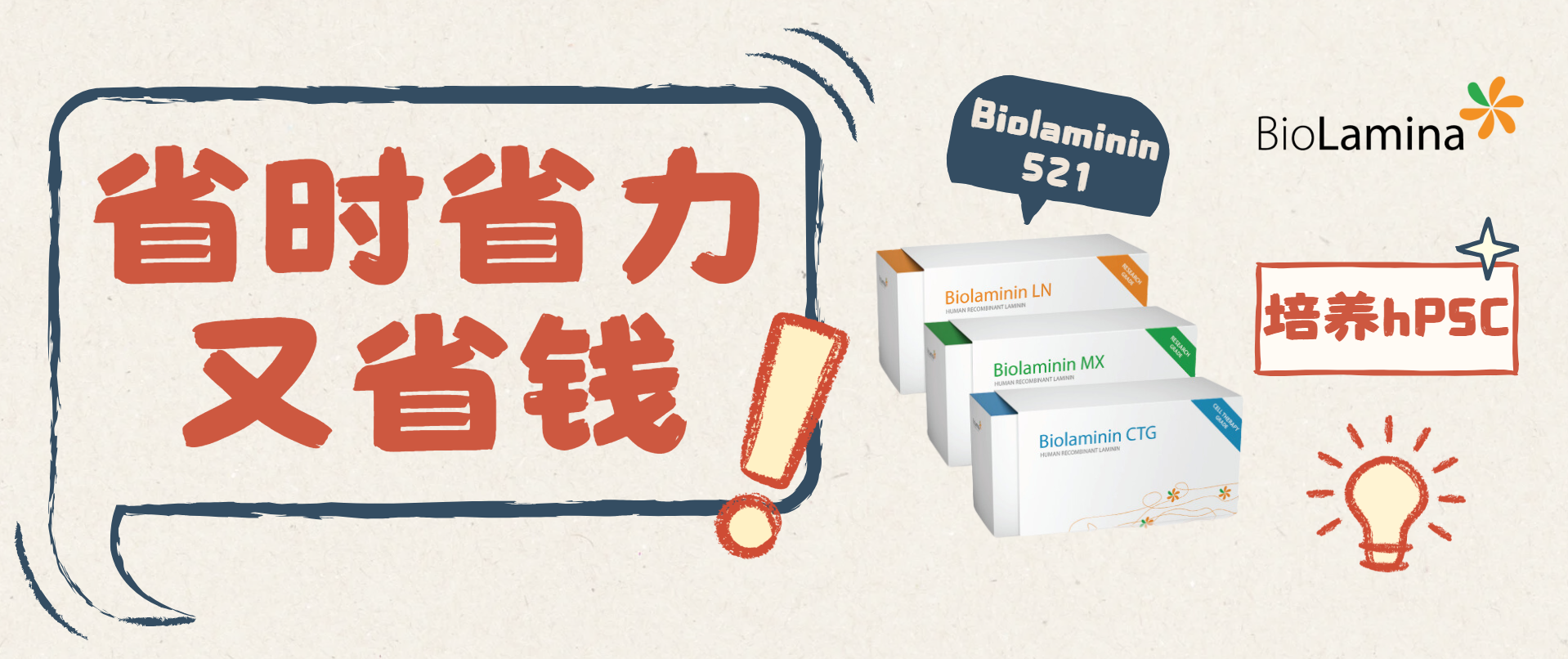 省时省力省钱篇之包被基质Biolaminin521培养hPSC