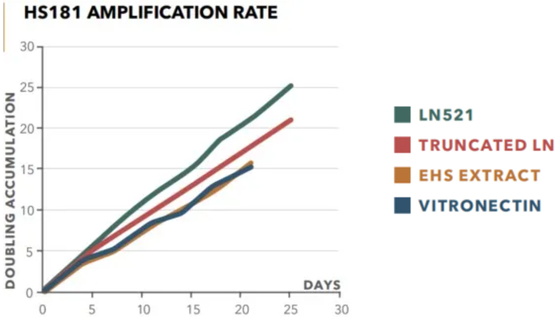 相较于其他包被基质BioLamina品牌LN521对HS181细胞系培养具较高扩增速率