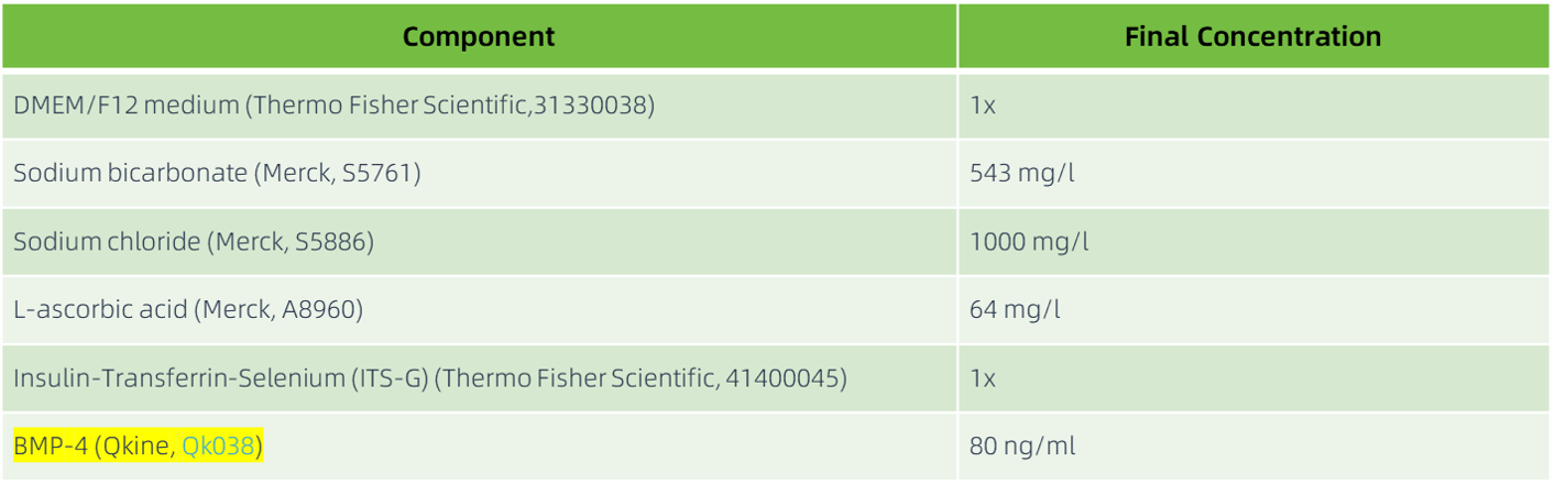 中胚层诱导培养基成分