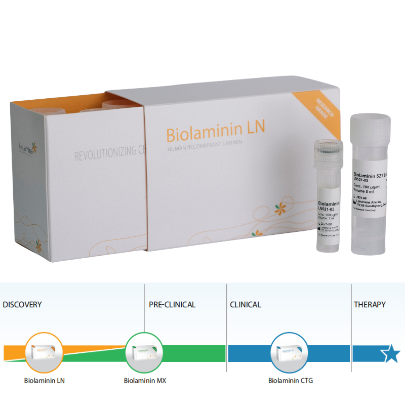曼博生物代理Biolamina人类重组层粘连蛋白LN521