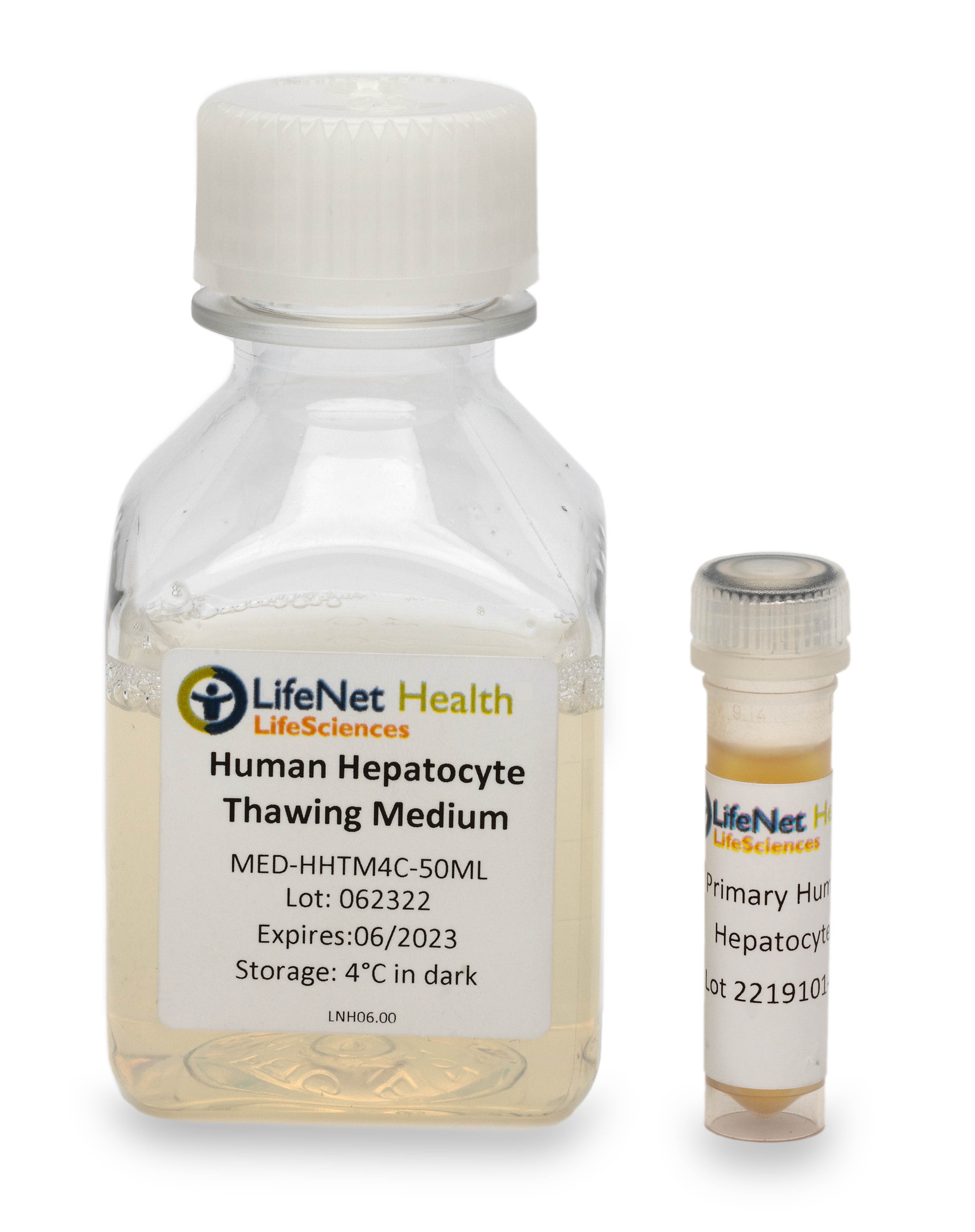 人原代肝细胞与原代肝细胞复苏培养基