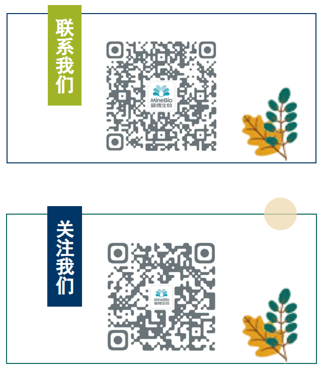 咨询LifeNet人原代肝细胞，欢迎咨询上海曼博生物