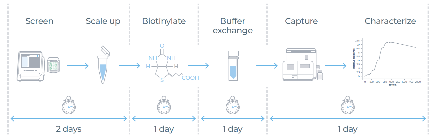 5天工作流程实现从DNA到蛋白质表征