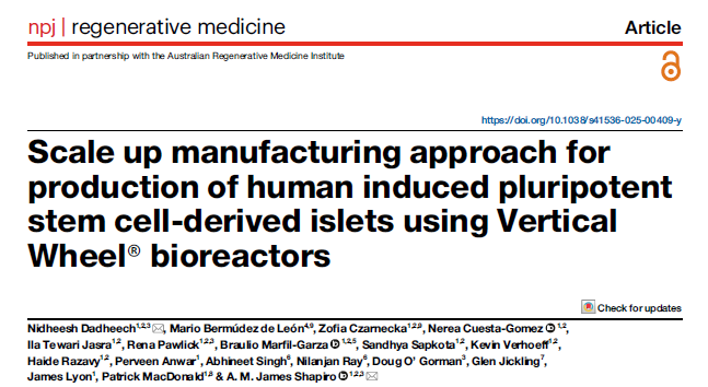 生物反应器技术可实现产胰岛素的干细胞衍生胰岛的规模化生产