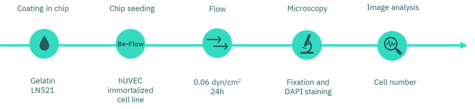 流体实验Flow Assay的工作流程图