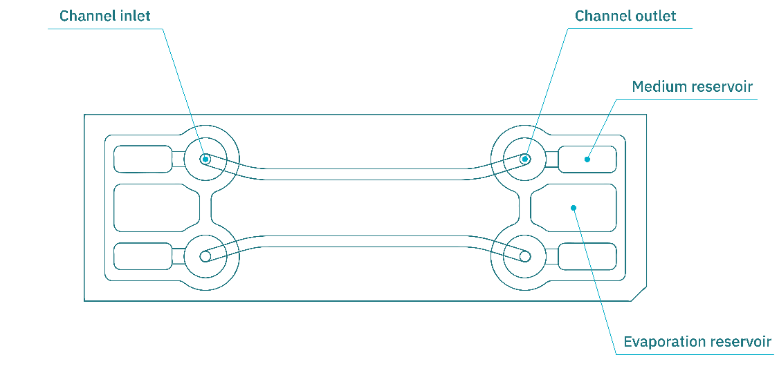 Be-Flow器官芯片的示意图