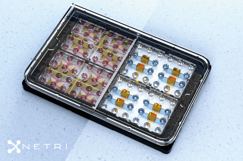 法国NETRI神经芯片 法国NETRI神经芯片