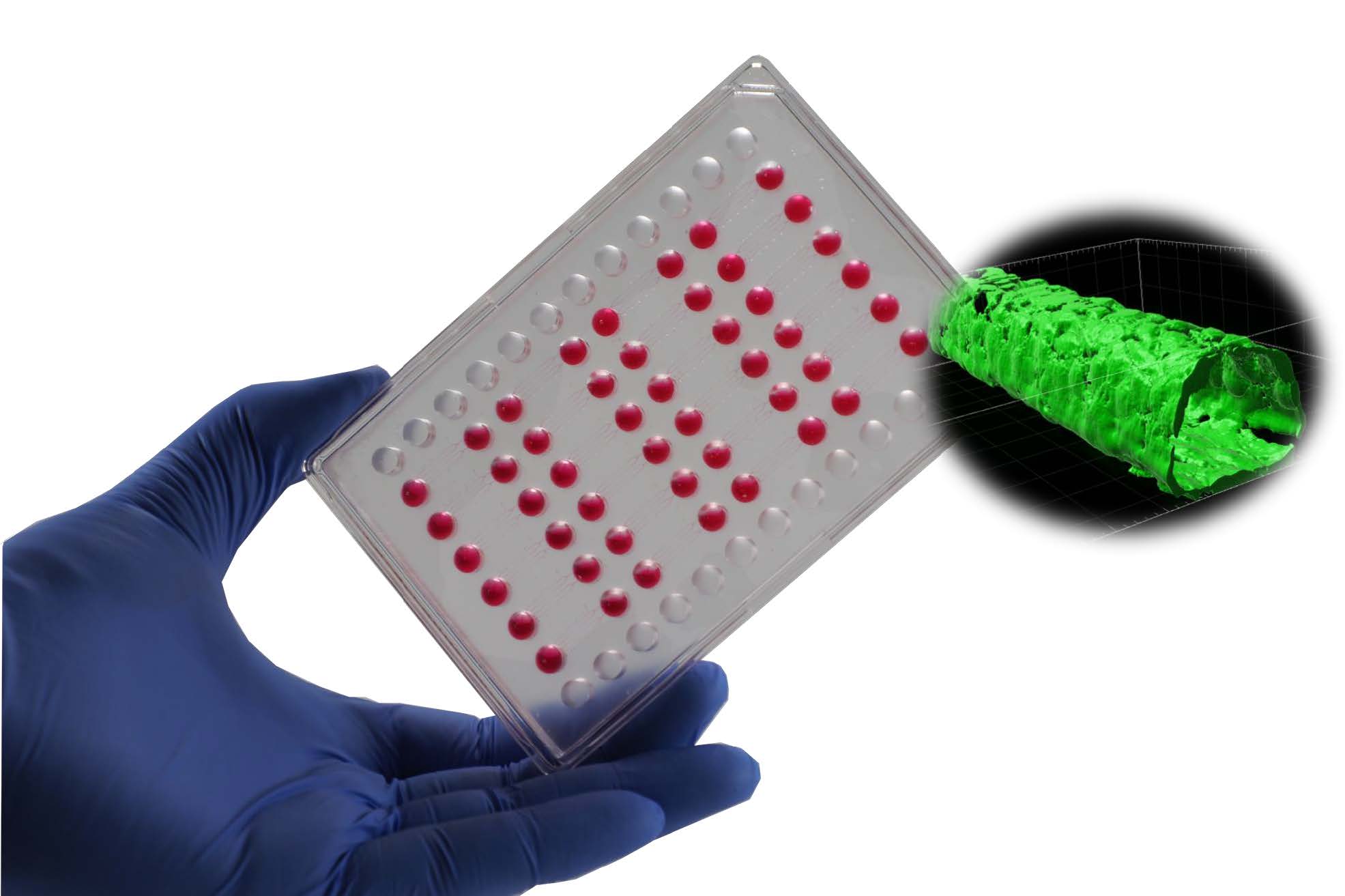 Akita无泵式流体控制系统