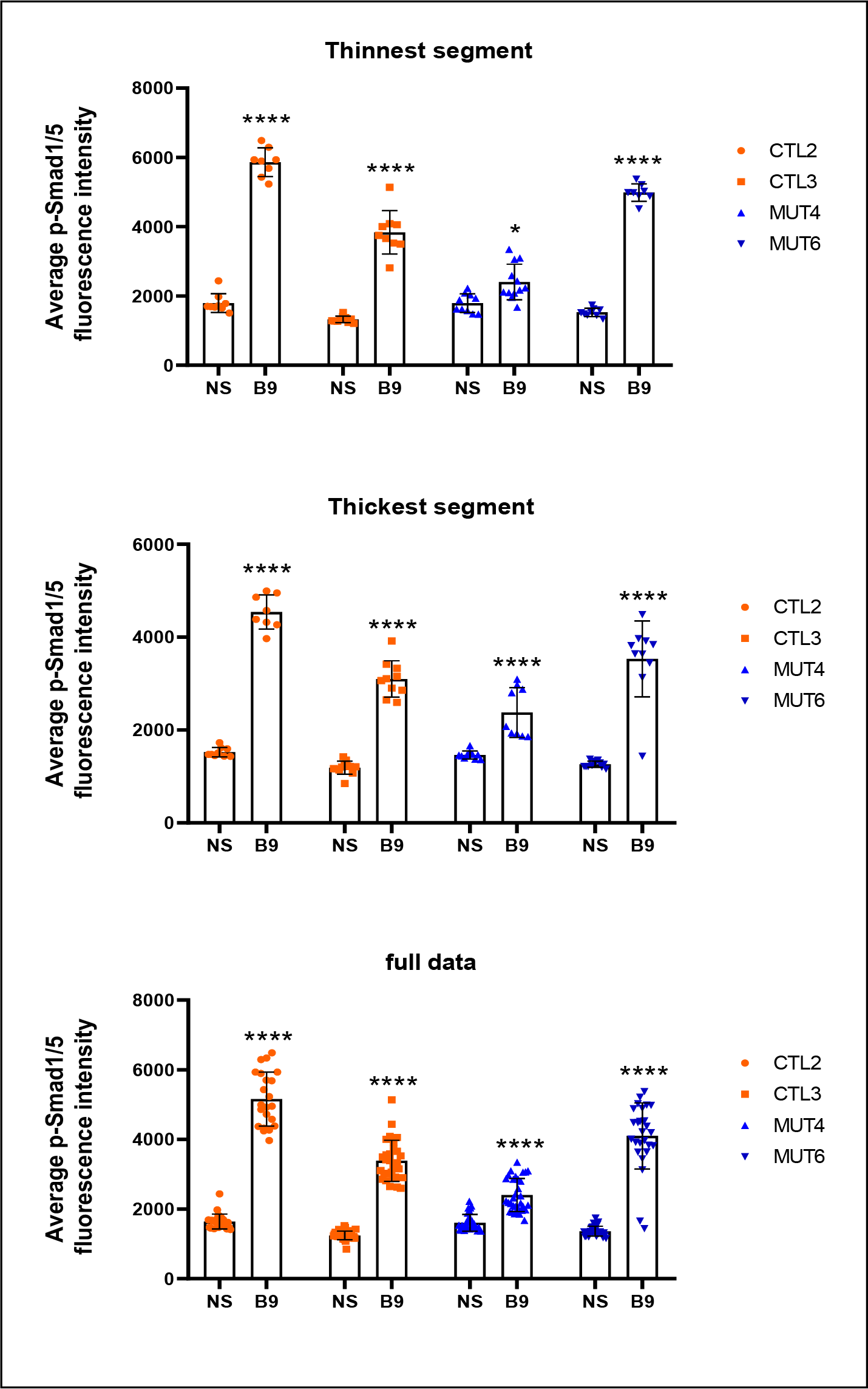 对照组与携带ALK1突变的内皮集落形成细胞对BMP9的p-Smad1/5信号响应2