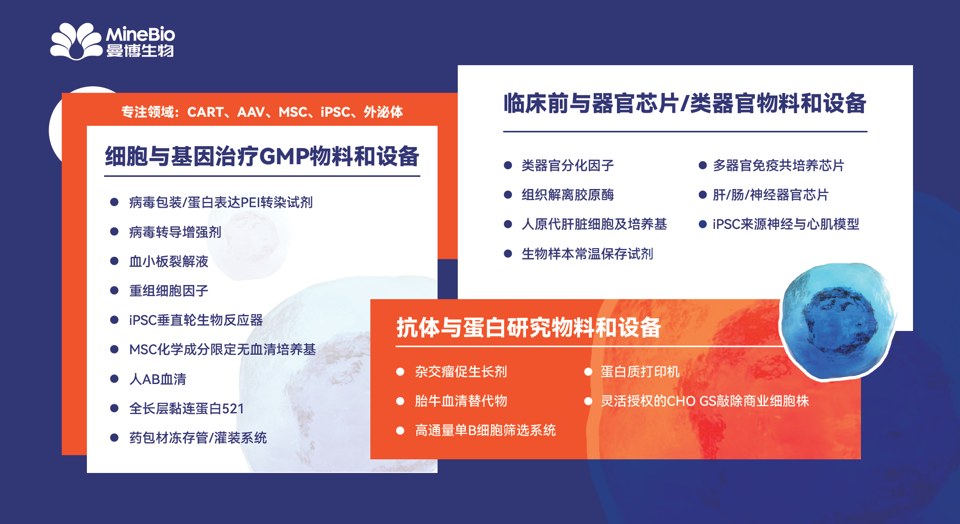 曼博生物业务板块涵盖CGT/类器官/抗体发现