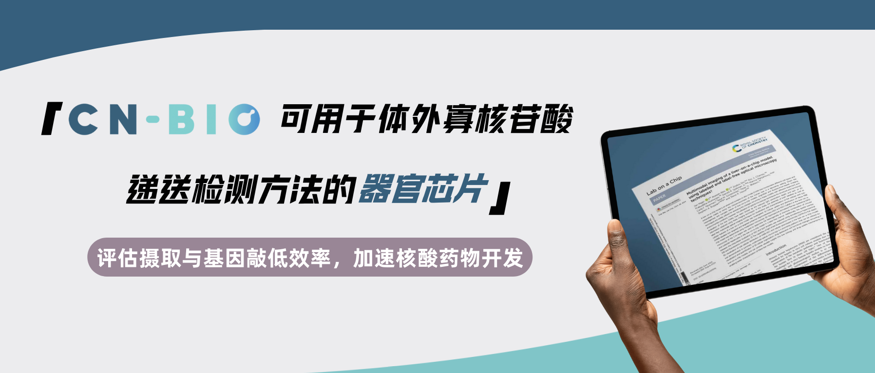 CN Bio | 可用于体外寡核苷酸（siRNA和ASO等）递送检测方法的器官芯片