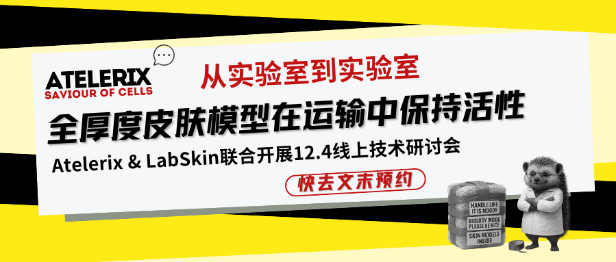 【文内预约12.4线上研讨会】Lab&rarr;Lab：全厚度皮肤模型在运输中保持活性
