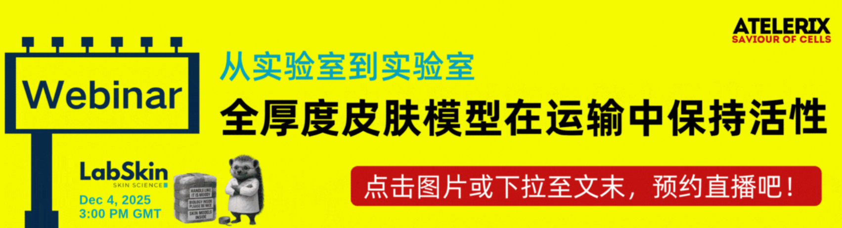 Atelerix&LabSkin联合开展12.4线上技术研讨会