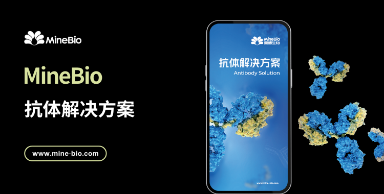 曼博生物抗体蛋白整体解决方案