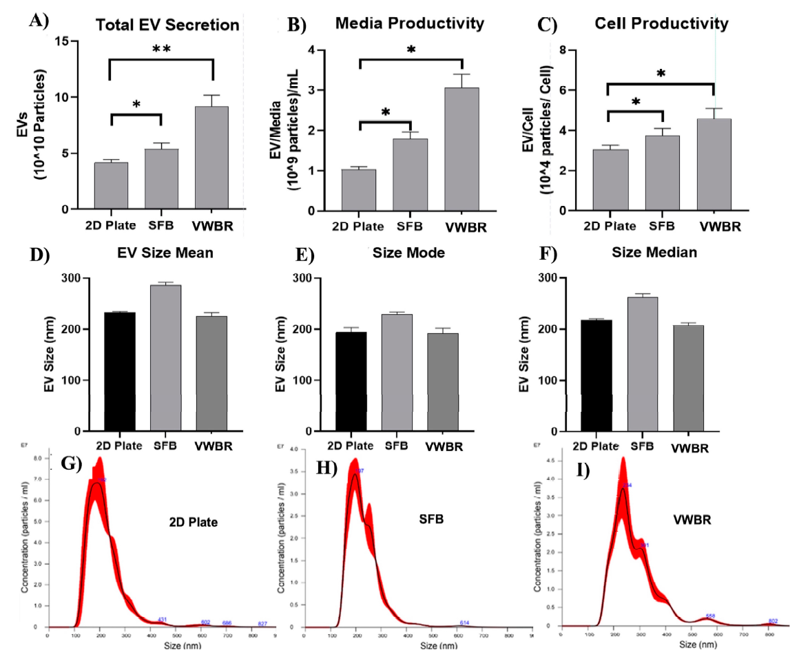 不同培养系统中细胞外囊泡的分泌情况