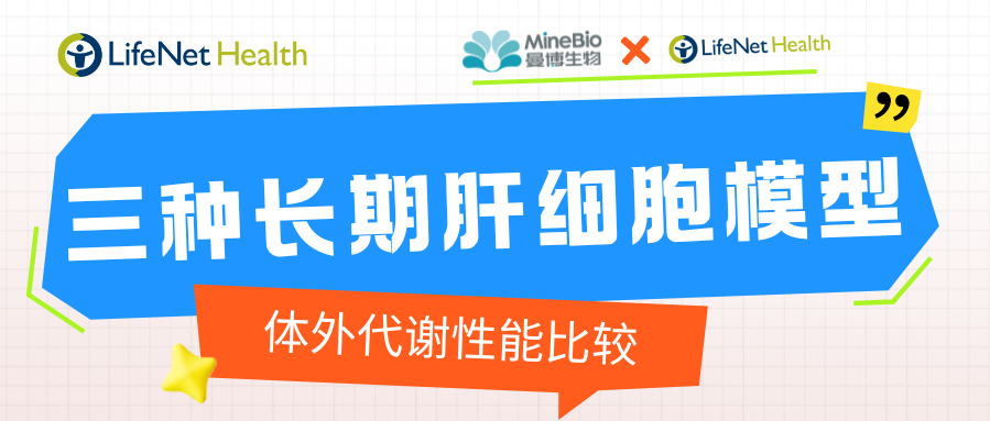 【代谢研究】三种长期肝细胞模型的体外代谢性能比较