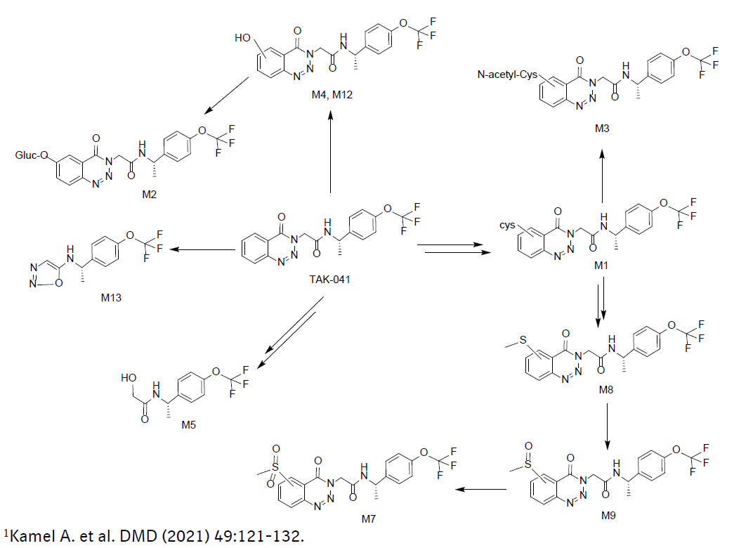 TAK-041的预测代谢途径1