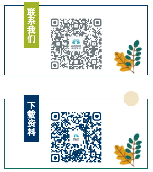 扫码获取LifeNet彩页或咨询技术问题