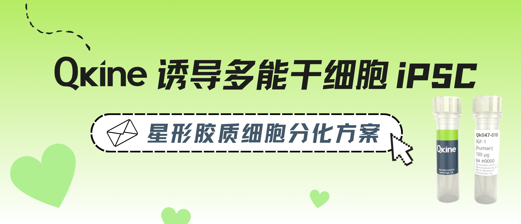 测试 Qkine细胞因子｜iPSC-星形胶质细胞分化方案