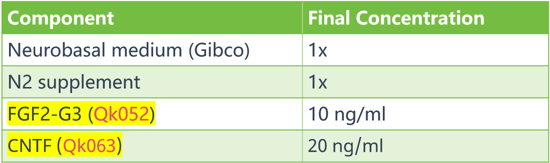 基于Neurobasal的培养基成分3