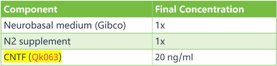 基于Neurobasal的培养基成分4